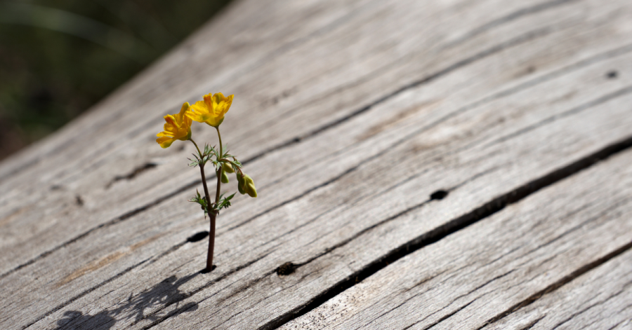 Manchmal ist der stillste Glaube der stärkste!